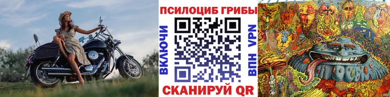 Купить  Оренбург  Галлюциногенные грибы мухоморы 